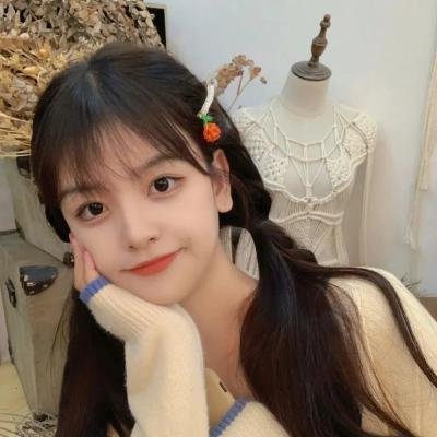 悬案密码1:笼里的女人